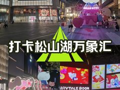 -东莞松山湖万象汇