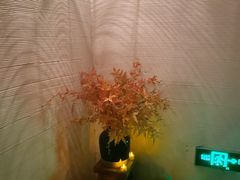 -Dragonfly悠庭·按摩Spa(静安嘉里中心店)