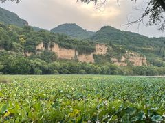 -黄河小浪底水利枢纽风景区