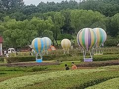 -东方绿舟景区