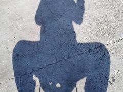 -七宝中学游泳馆