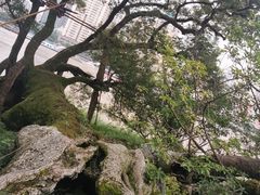-江心屿景区