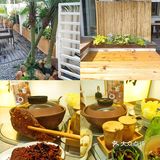 来楠无吃椰子鸡啦!