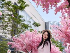 -东莞松山湖万象汇