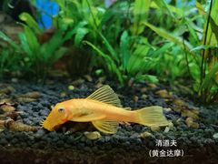 -太平洋海底世界