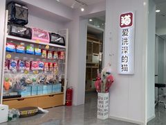 -爱洗澡的猫(望京店)