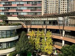 -瑞虹新天地月亮湾