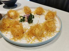 -丁老爷子苏香圆