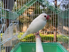 -南宫五洲植物乐园