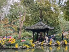 -杭州植物园