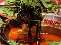 -港火社成都火锅·市井九宫格(城市花园店)
