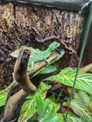 -酷嗒动物文化乐园(cutezoo西溪乐天城店)