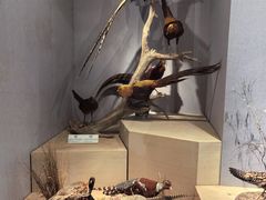 -武汉园博园(武汉自然博物馆)
