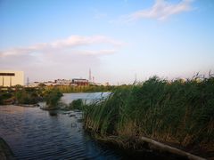 -永定河休闲森林公园