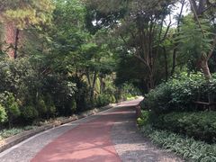 -狐尾山公园