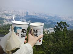 -茶颜悦色(岳麓山顶店)