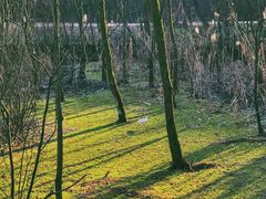 -西湖风景区-江洋畈生态公园