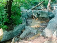-大青沟风景区