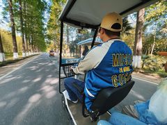 -黄海国家森林公园