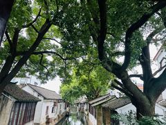 -锦溪古镇