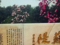 -苏堤停车场