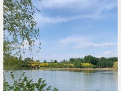 -东郊湿地公园