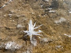 -鄂尔多斯野生动物园