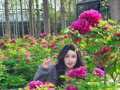 -洛阳市隋唐城遗址植物园