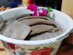 楠三娘脆毛肚-楠火锅(龙阳广场店)