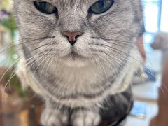 -共舞时光猫咖·狗咖(新街口店)
