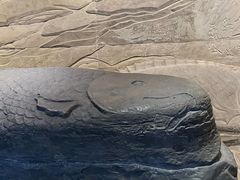 -白鹤梁水下博物馆