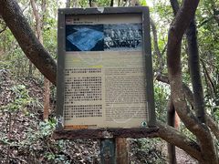 -狮子山郊野公园