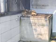 -水绘园