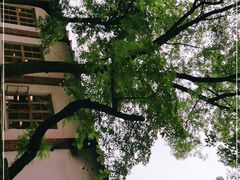 -几个木匠匠人厨房