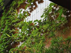 -扫雪煮茶(西村店)