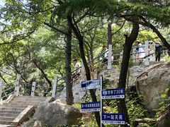 -崂山仰口游览区