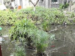 -大妙火锅·非物质文化遗产(东湖公园店)