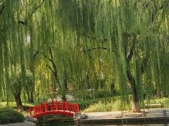 -玲珑塔公园