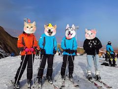 -大同万龙白登山国际滑雪场