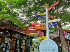 -亚龙湾热带天堂森林公园