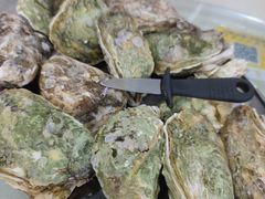 清蒸生蚝-嘉升大排档(番禺总店)