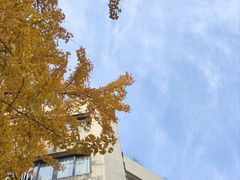 -西南交通大学(九里校区)