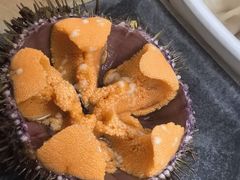 -海胆小馆(东北水饺·春柳店)