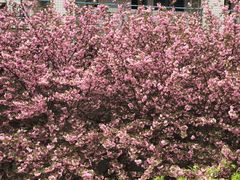 -南京邮电大学-第2食堂