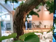 -桂满陇·手作小笼包&江南叫花鸡(中山公园店)