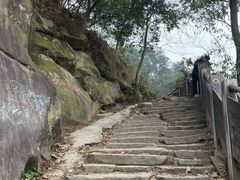 -林中乐辣子鸡(歌乐山总店)