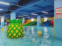 -宝燕乐园(闵行旗舰店)