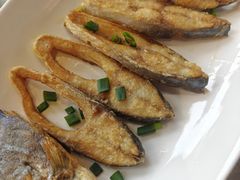 -陈鹏鹏潮汕菜(欢乐海岸 海边景观店)