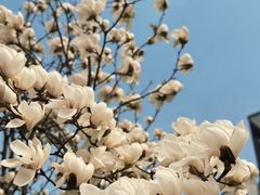 -首都图书馆-咖啡厅