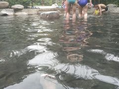 -三亚珠江南田温泉度假区